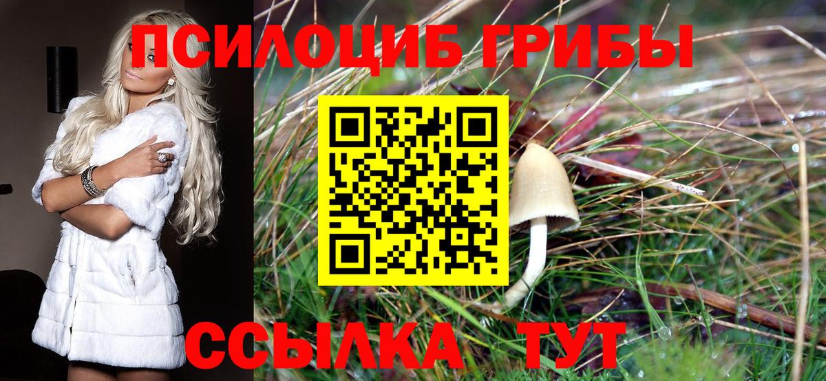 Галлюциногенные грибы мицелий  Псилоцибиновые грибы мицелий  Котельники  Вход с VPN 